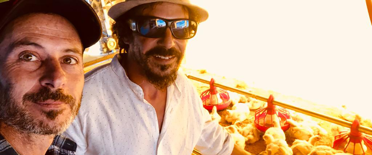 Ingenieros encontraron cómo aprovechar los residuos de avícolas