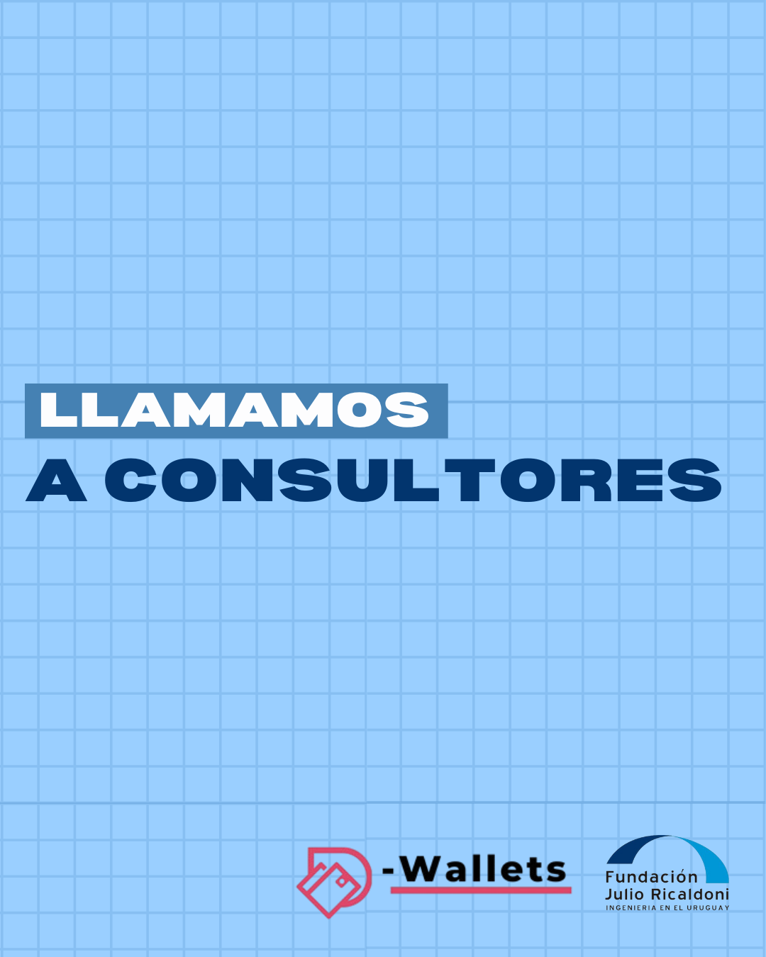 Llamado a consultores