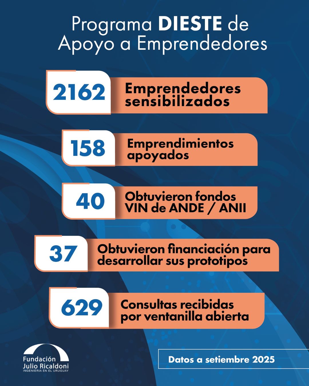 datos apoyo emprendedores
