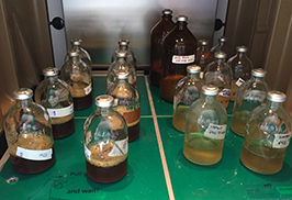 Aserrín para producir biocombustibles